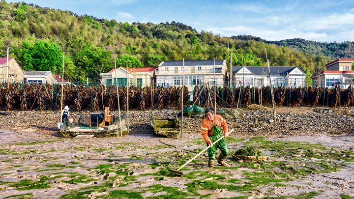 感受大海的馈赠赶海抓海鲜的乐趣,海边赶海收获的更多海鲜
