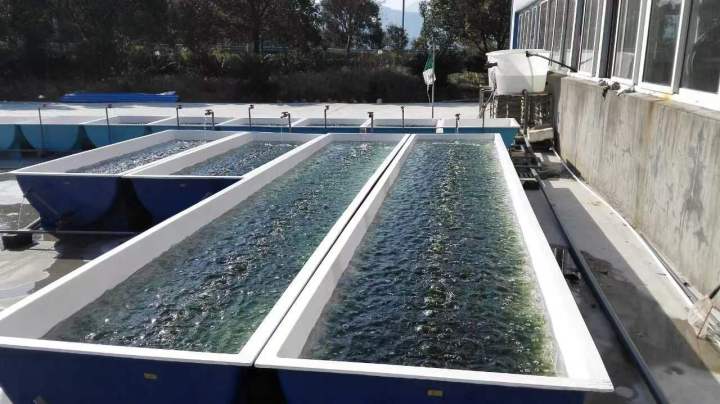 感受大海的馈赠赶海抓海鲜的乐趣,海边赶海收获的更多海鲜