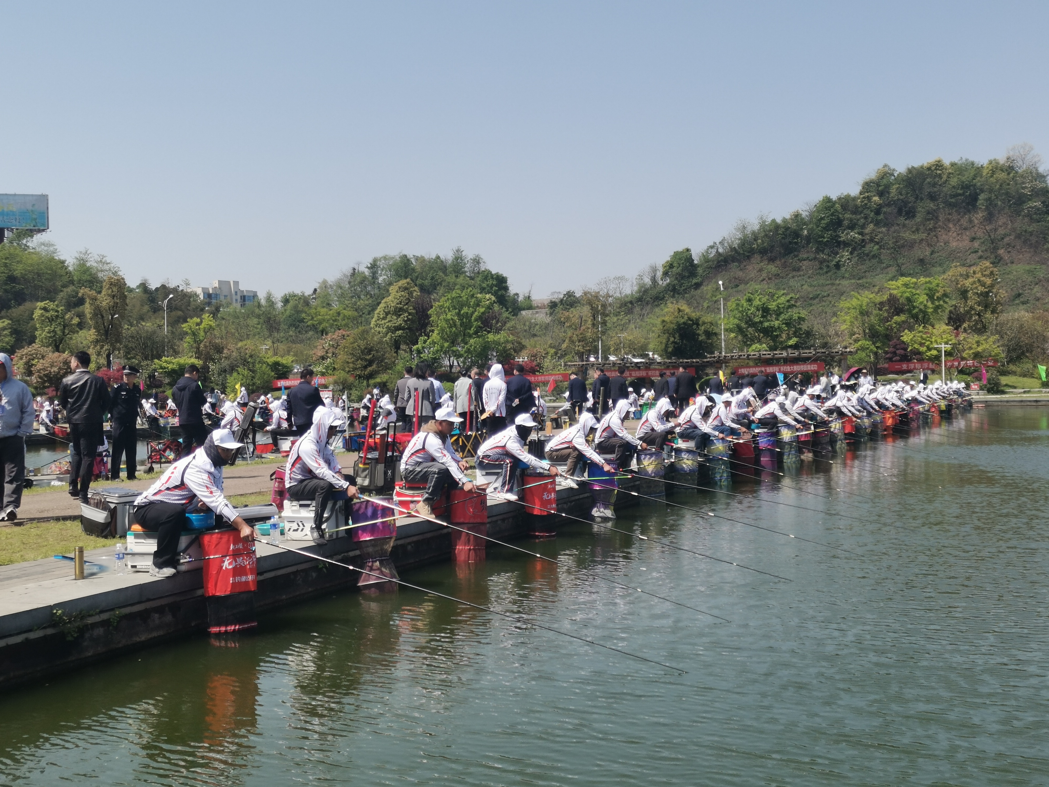 临湘垂钓大赛野钓,临湘浮标钓鱼