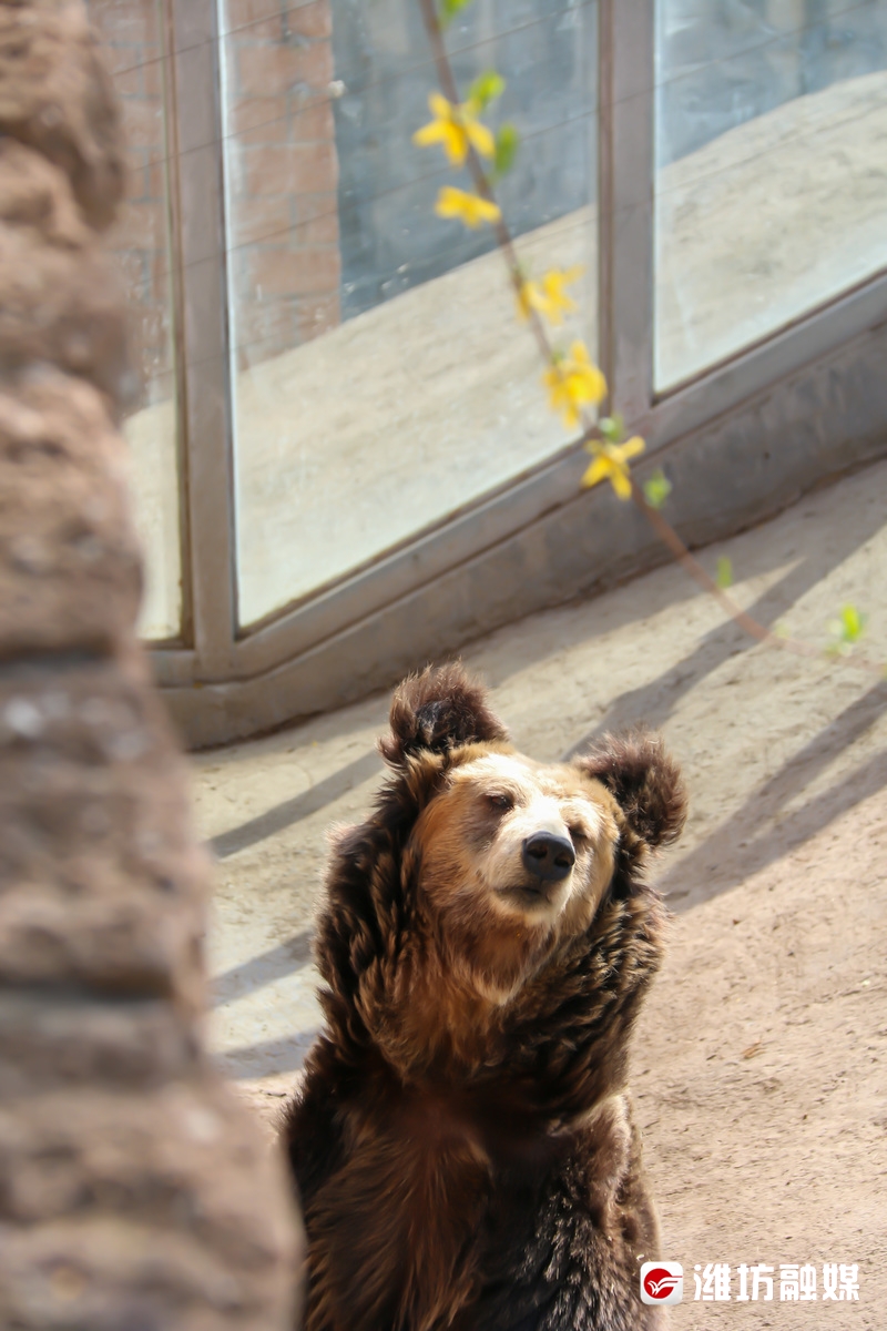 潍坊金宝乐园风景图片,潍坊金宝乐园游览图片大全