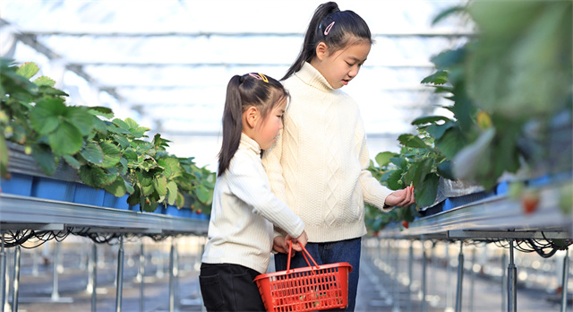 江苏常州：“三本日记”写好“民生实事”，探寻乡村振兴的“武进秘方”