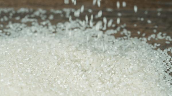 最新大米消费,大米消费提示