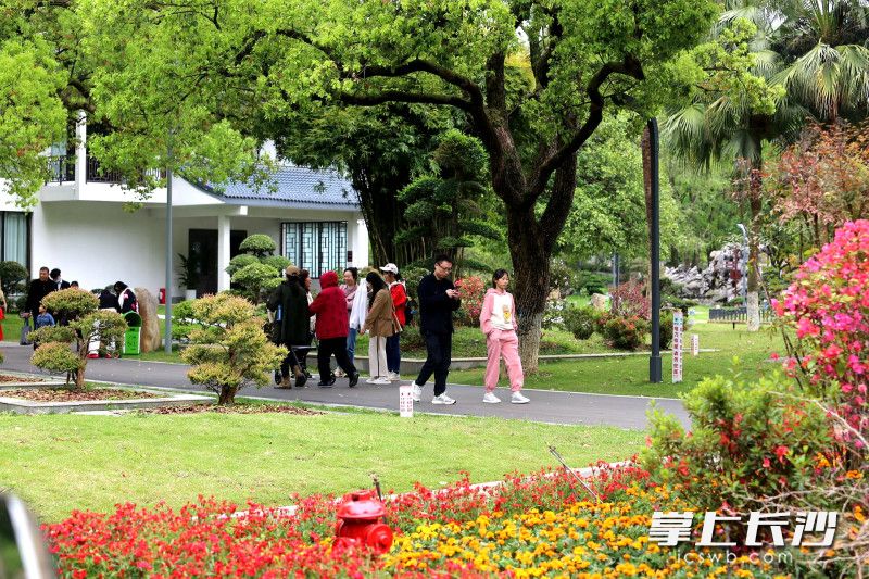 芳草园手绘地图,芳草优美落英缤纷图片