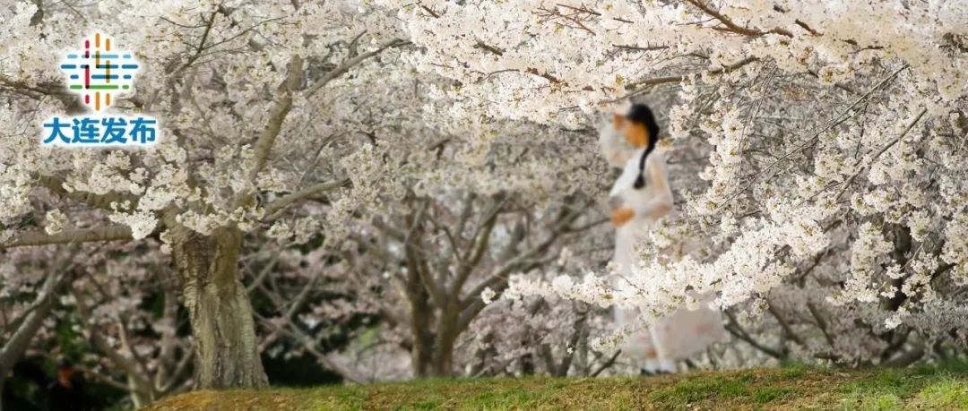 嗨玩大连团购,嗨玩20枚游戏币