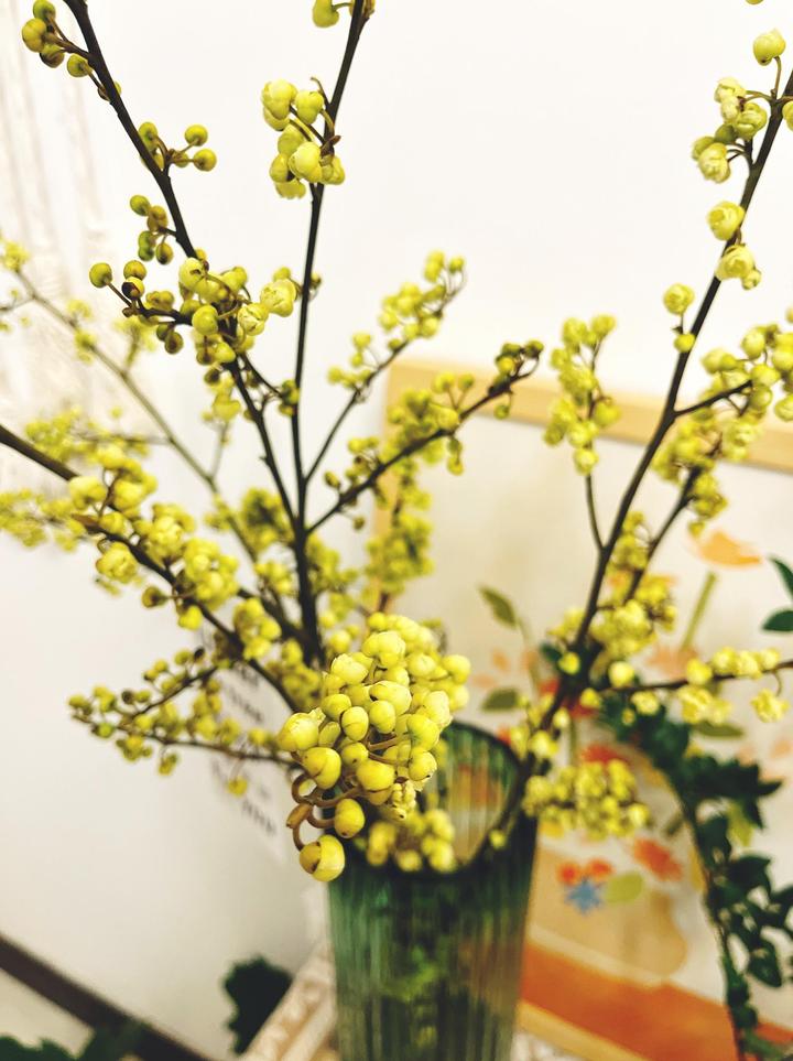 柴火生意怎样做才能赚大钱,柴火致富项目大全