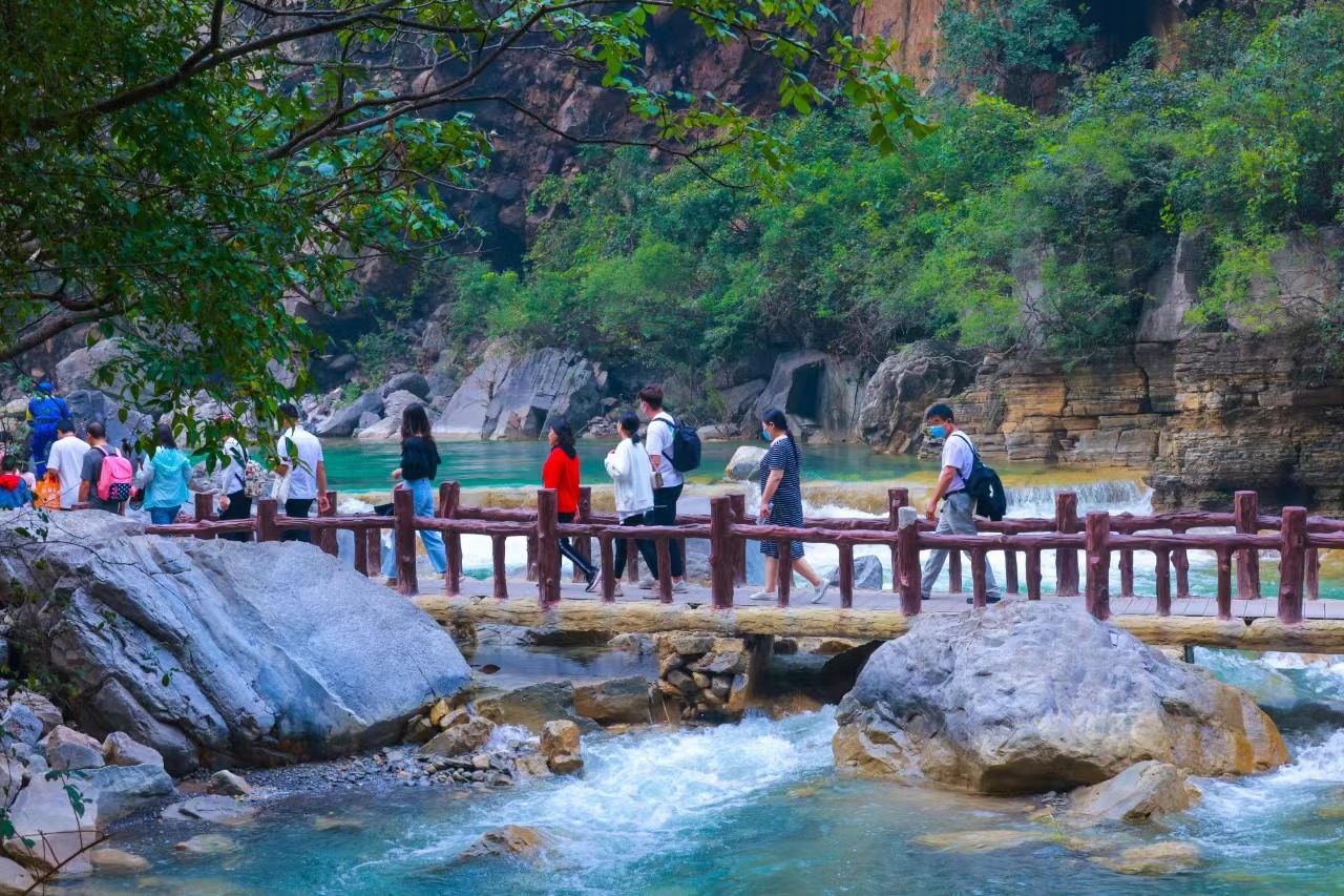 好评率高达96%,好评率高达95%