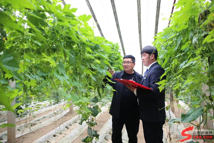 农商银行三化三铁总结,农商行三位一体贷款