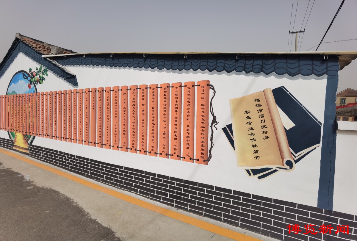 山东省淄博市寨里镇邹家村,淄博淄川寨里镇邹家村