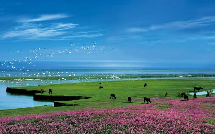 清凉一夏·追浔季｜“五一”出游”，请收下这份周边游指南！