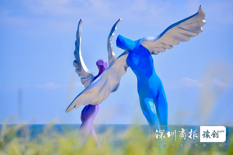 大梅沙要预约吗工作日,大梅沙一定要预约才能进去吗