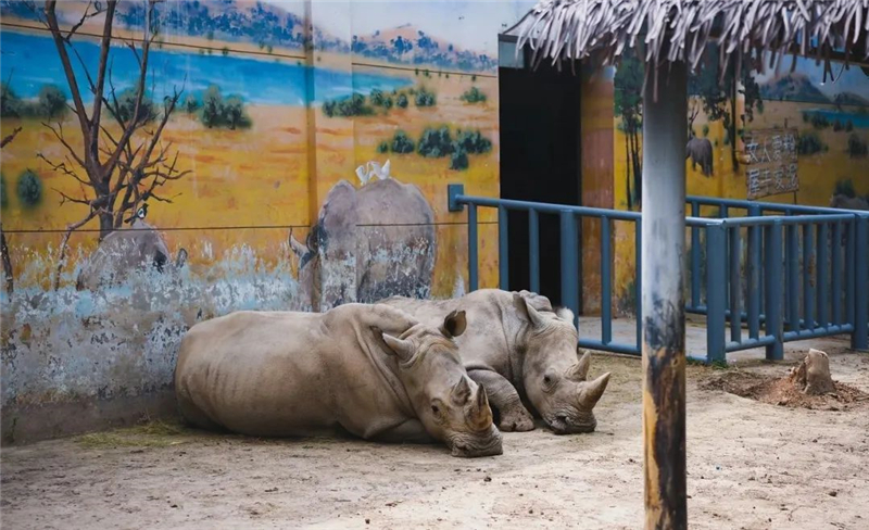西航花园社会实践活动,西航三校小学一年级课程