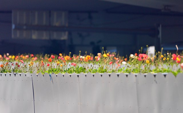 有一种云南的生活叫昆明,云南的昆明就是这么美