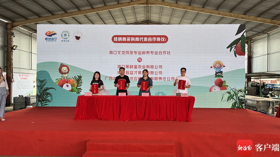 荔枝产销对接会,海口火山荔枝产销大会
