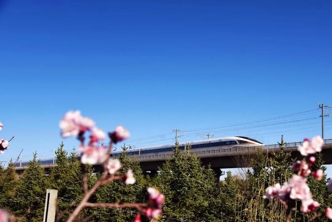 送人上高铁可以送到座位上吗,高铁订饭是送到座位上吗