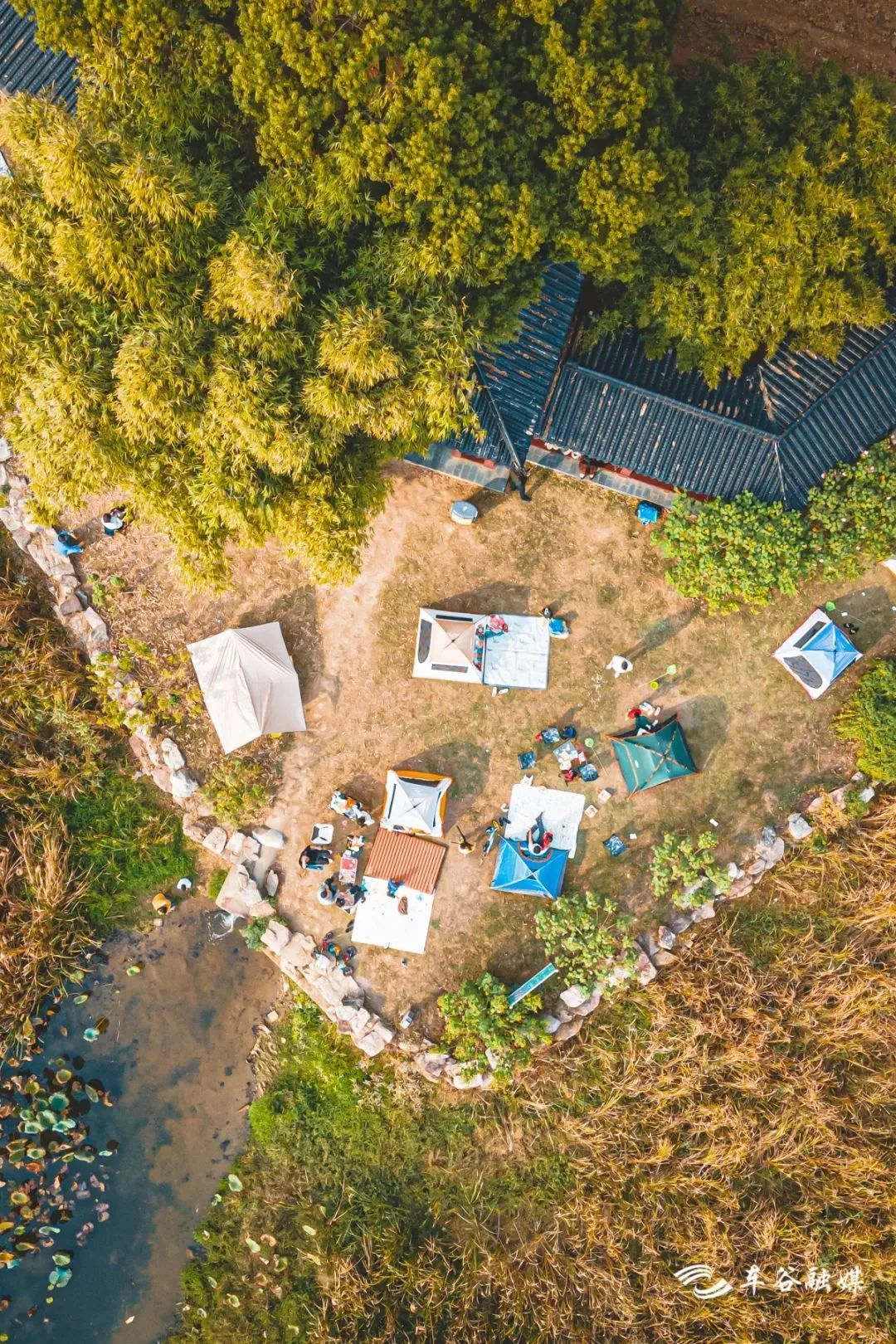 骑车打卡绿道,东湖绿道骑行享受闲暇时光