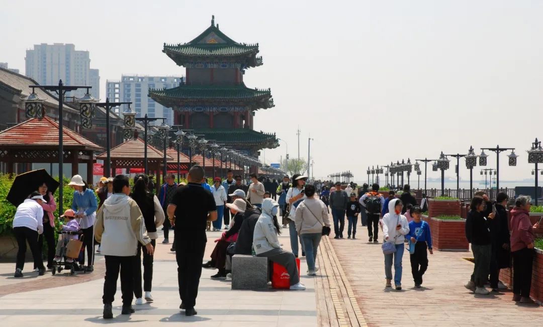 向海乐活节音乐节,2024滨城向海乐活节