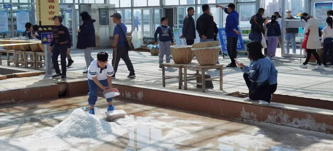 向海乐活节音乐节,2024滨城向海乐活节