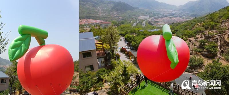 北宅樱桃节2022,崂山北宅樱桃节开幕实况