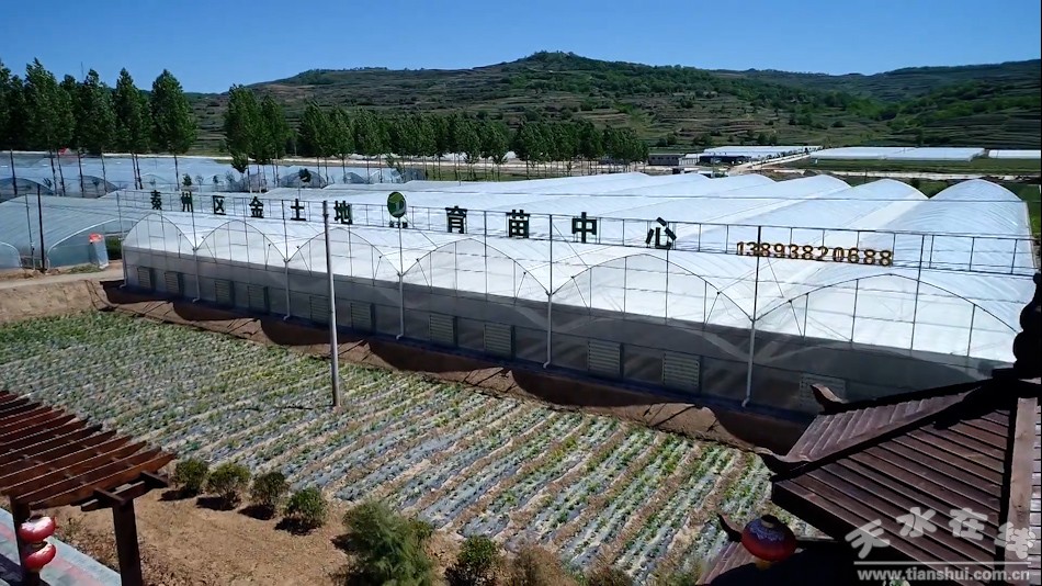 天水秦州区农业产业,秦州区现代农业发展