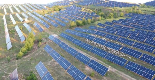 看国家队“挖呀挖呀挖”，唱最萌的歌谣，种最狠的花