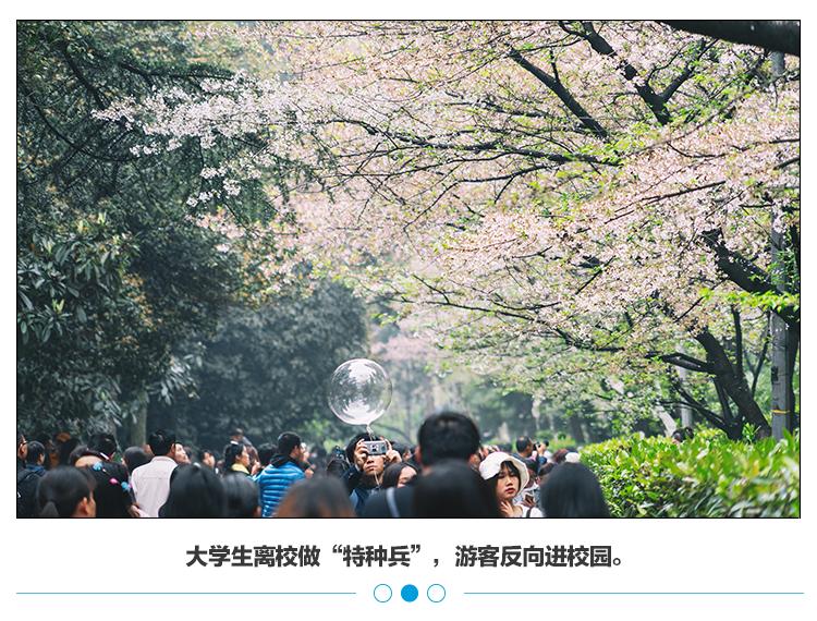 五一高校旅游,高校五一假期去哪游