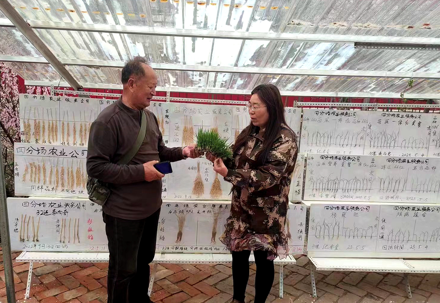 龙江精神感人故事,龙江感动人物事迹