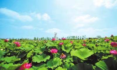 缇庤鲍鍚嶅搧瀹ｄ紶,缇庤鲍鍚嶅搧