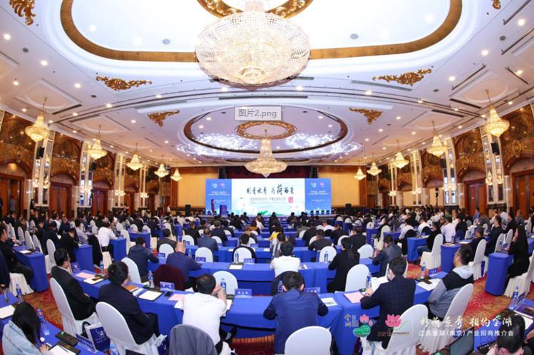 江苏推动经济社会发展新举措,金湖县重大项目攻坚队