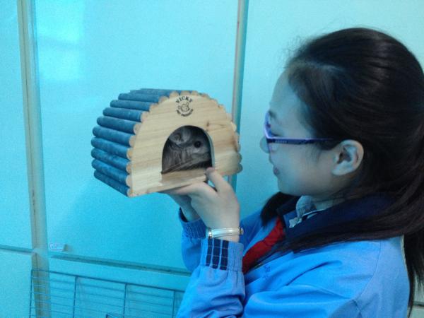 铁岭中学有个科技“园丁”，18年用一片城市“农田”为学生种下科学的种子