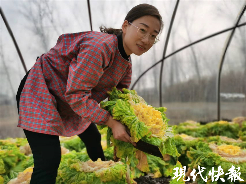 回乡创业扎根乡村,逃离贫困家乡又回乡创业