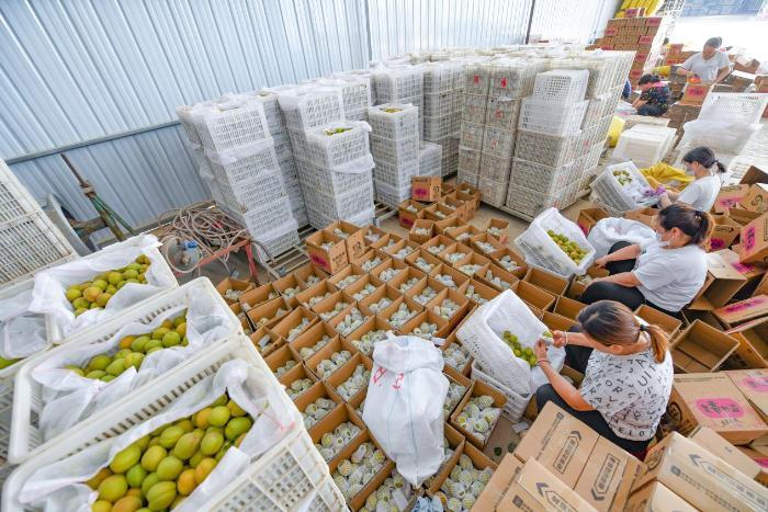 电商卖水果创业之路,农村创业水果电商怎么做