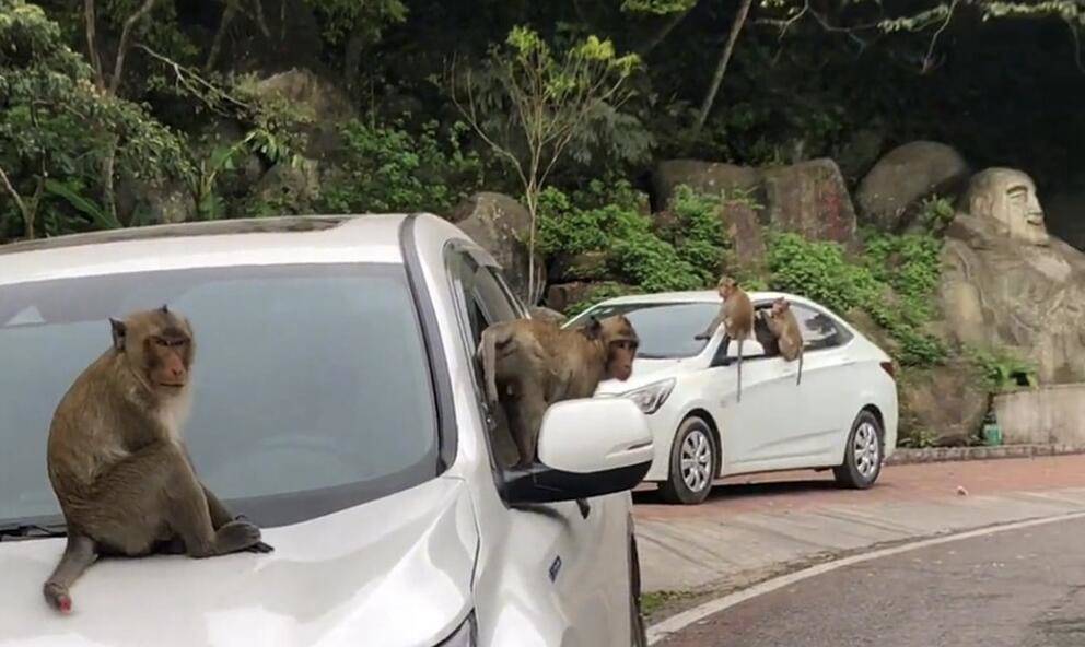 早读七点（2023.5.19）丨副镇长胁迫他人妻子发生关系？警方回应