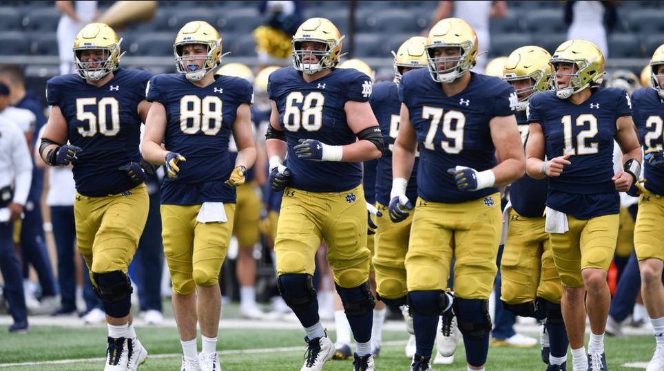 ea体育有哪些,ea美式足球