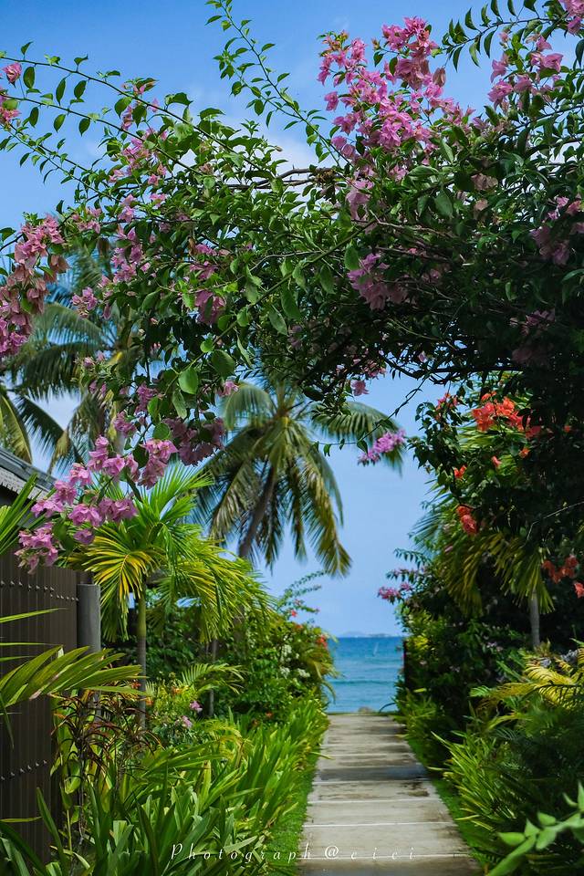 斐济南太平洋之旅,斐济之行游记