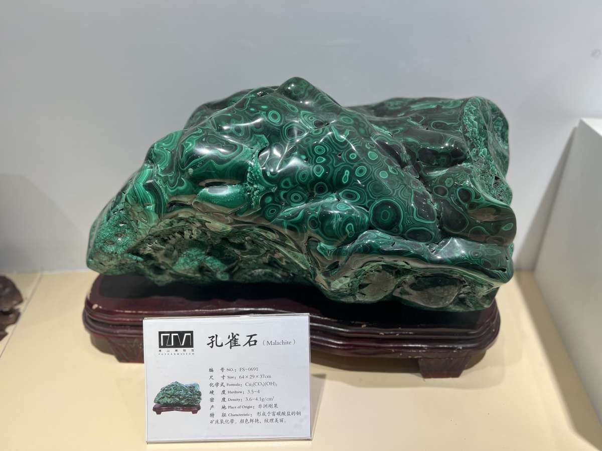 淄博傅山自然地质博物馆官网,淄博傅山自然地质博物馆