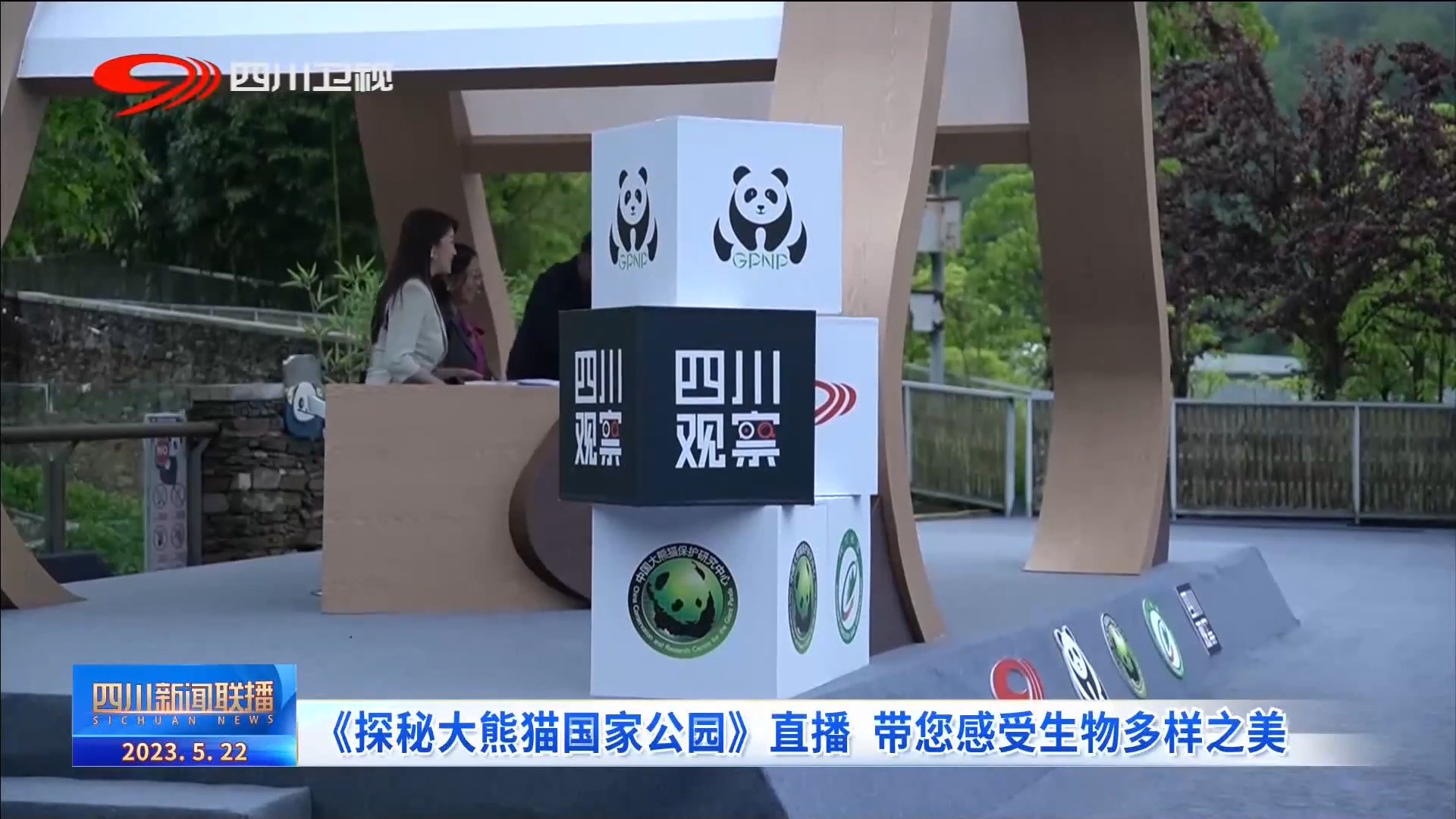 大熊猫国家公园纪录片,四川观察大熊猫直播