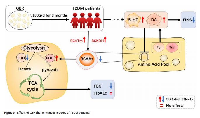 发芽糙米治病,发芽糙米的升糖指数