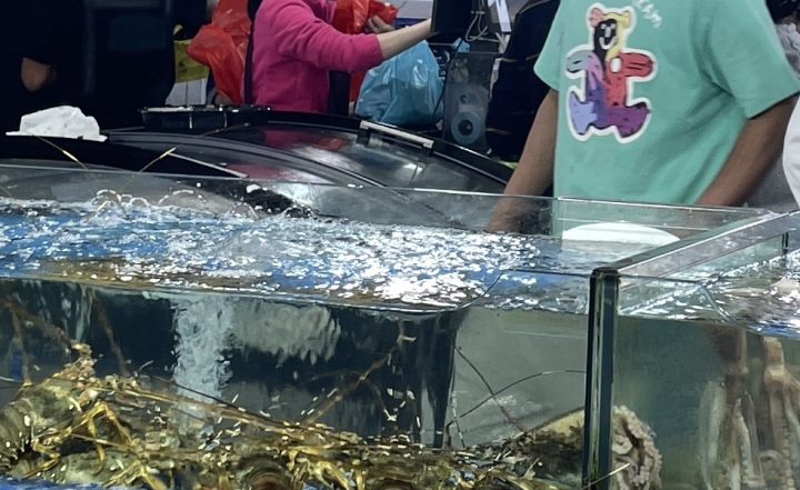 你买海鲜有没有被坑过,海鲜市场为什么买鱼带水称