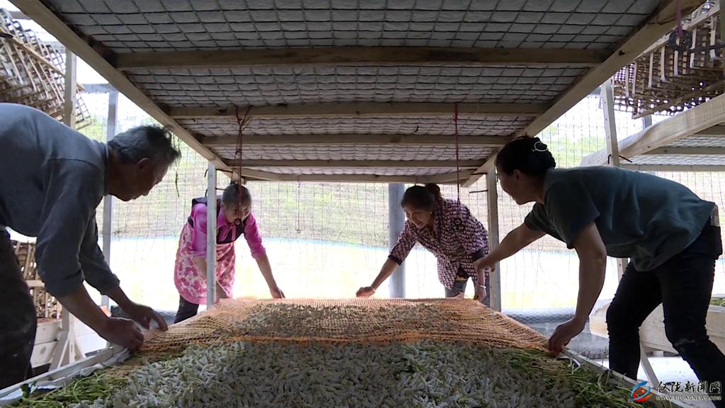 第一批蚕几月出,第一批春蚕茧