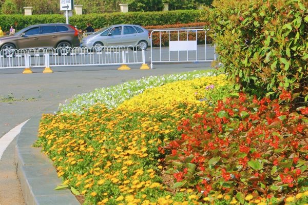 武汉花园打造,武汉花园景观设计施工