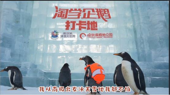 黑龙江省文明旅游宣传,黑龙江新闻宣传旅游业