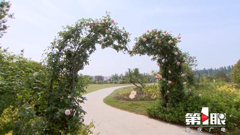 第1眼重庆广电消息,重庆广电第1眼官网