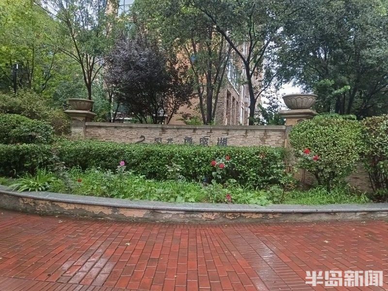 业委会控制物业被起诉,小区业委会投票违法吗