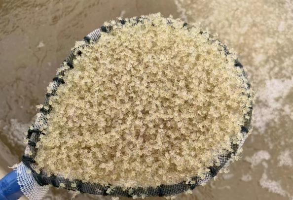 土塘养殖怎么样选择优质苗,一亩水塘养殖什么最赚钱