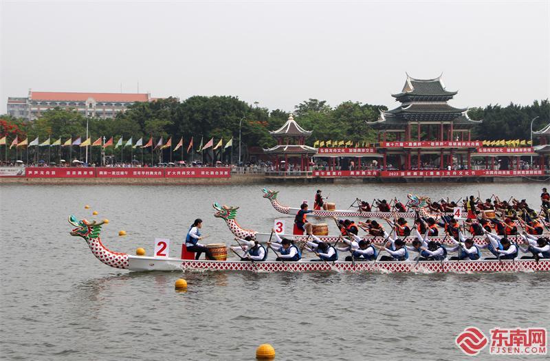 厦门集美龙舟参赛队伍,厦门集美划龙舟比赛视频