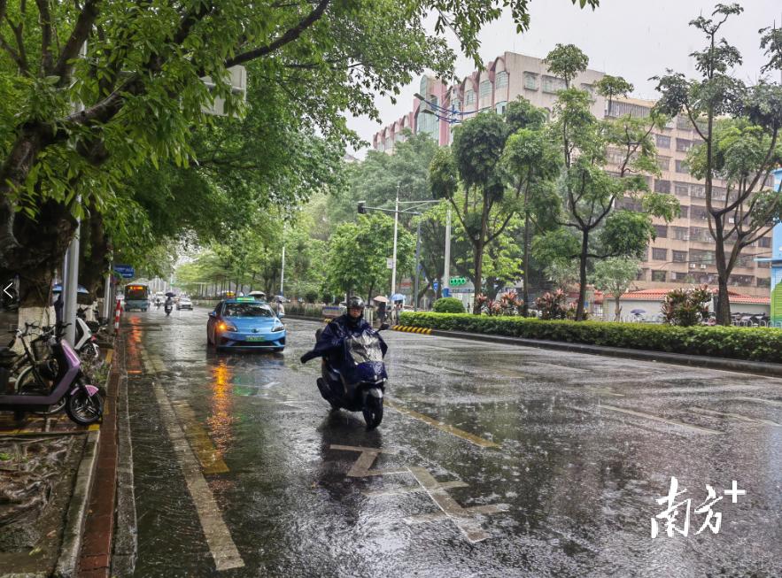 滚动|茂名67268名考生将奔赴考场,送你一份最全指南!