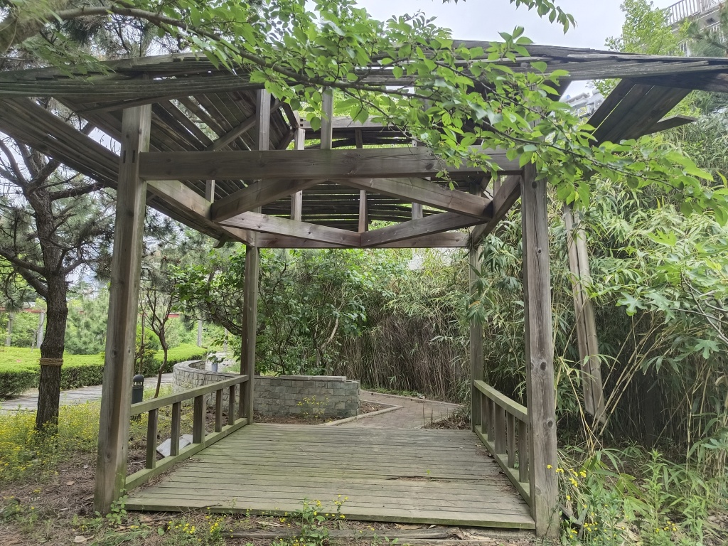 问诊岛城物业纠纷丨一年可结余四五十万，十余年公共收益去了哪？小区“钱袋子”啥时晒出“明白账”