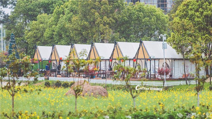 蔡甸即将入选的村,蔡甸区十强镇