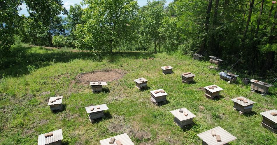 板桥镇发展特色产业助贫困户增收,清水县适合发展种植业的自然条件