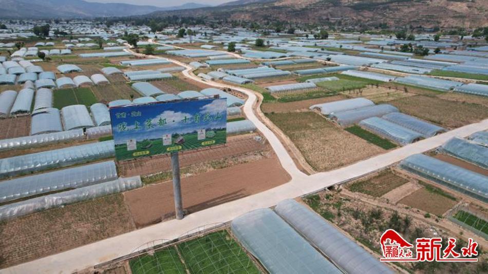 武山蔬菜简介,武山人文历史